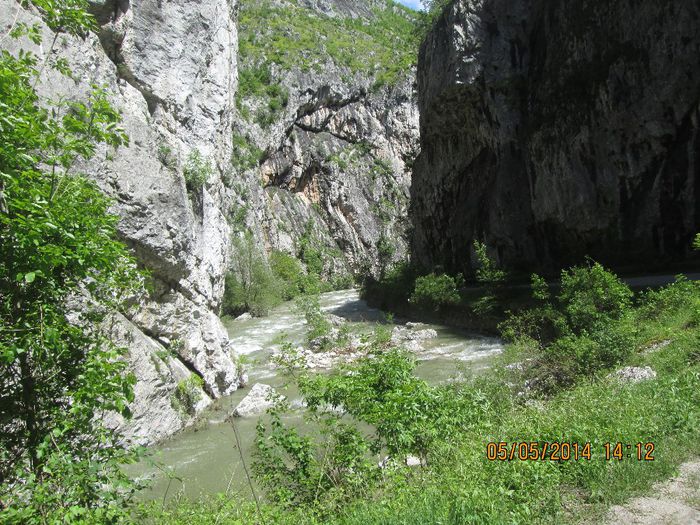 IMG_4658 - Cheile Sohodolului in mai