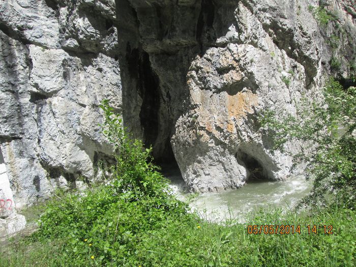 IMG_4659 - Cheile Sohodolului in mai