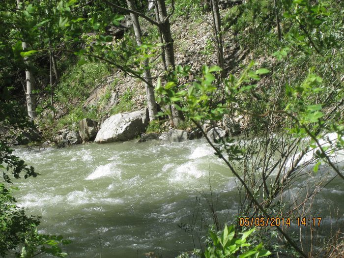 IMG_4671 - Cheile Sohodolului in mai