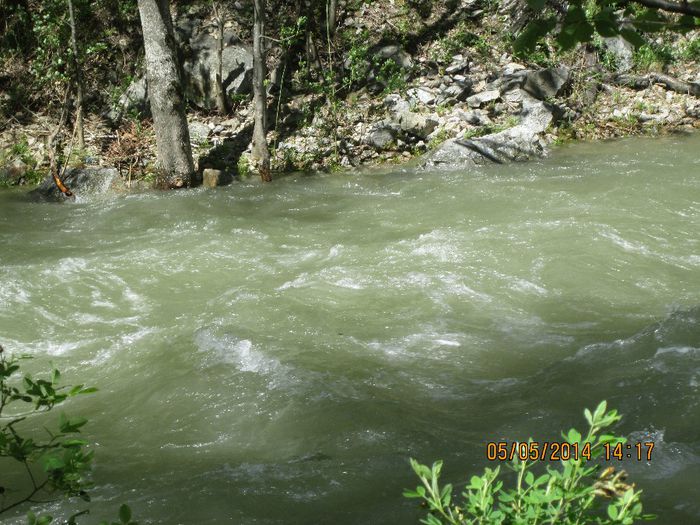 IMG_4672 - Cheile Sohodolului in mai