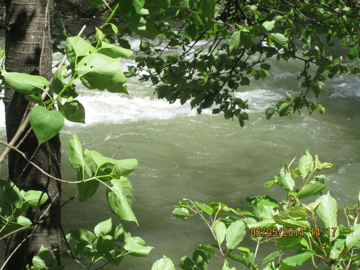 IMG_4673 - Cheile Sohodolului in mai