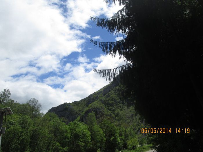 IMG_4674 - Cheile Sohodolului in mai