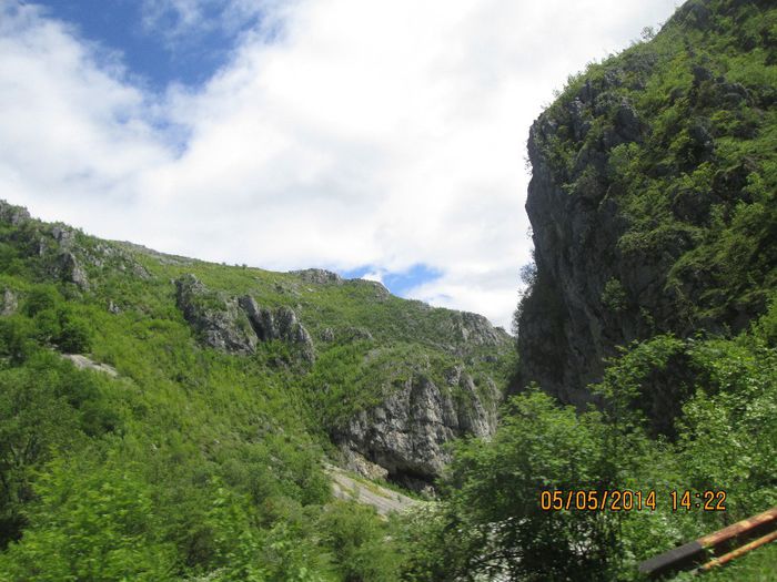 IMG_4681 - Cheile Sohodolului in mai