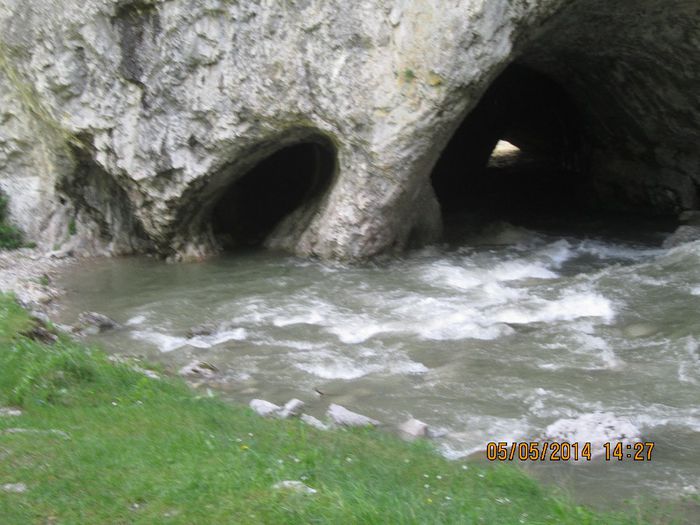 IMG_4683 - Cheile Sohodolului in mai