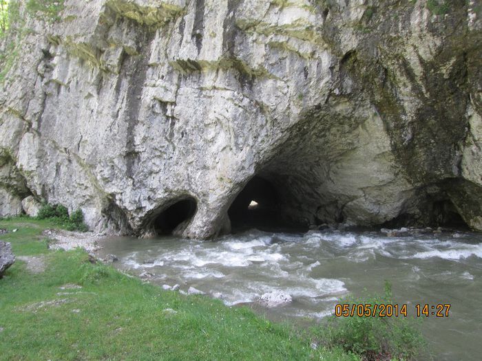 IMG_4686 - Cheile Sohodolului in mai