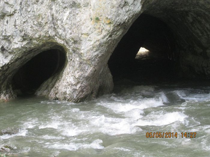 IMG_4687 - Cheile Sohodolului in mai