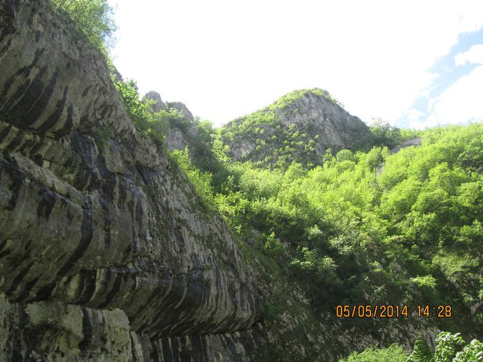 IMG_4697 - Cheile Sohodolului in mai