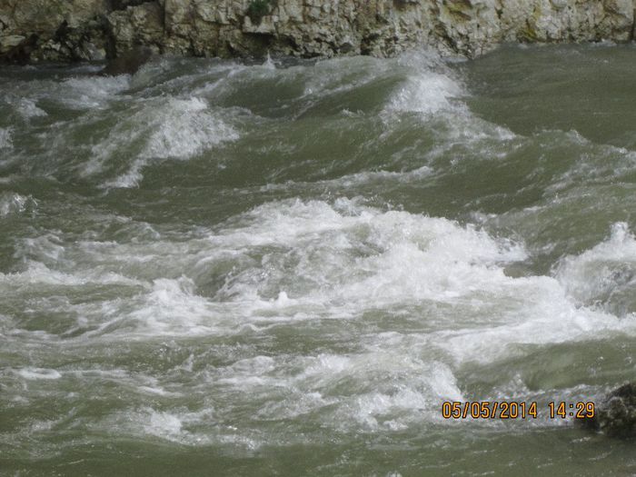 IMG_4700 - Cheile Sohodolului in mai