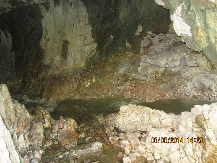 IMG_4701 - Cheile Sohodolului in mai