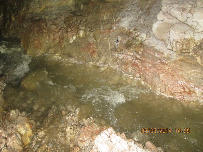 IMG_4702 - Cheile Sohodolului in mai