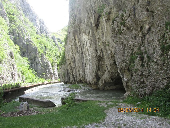 IMG_4704 - Cheile Sohodolului in mai