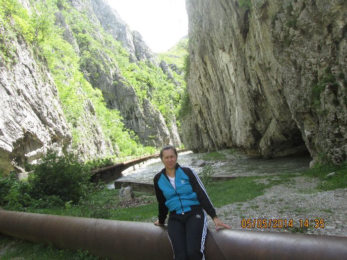 IMG_4705 - Cheile Sohodolului in mai