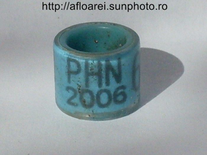 phn 2006