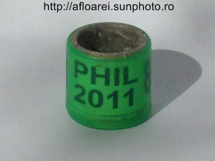 phil 2011 - FILIPINE-PHIL
