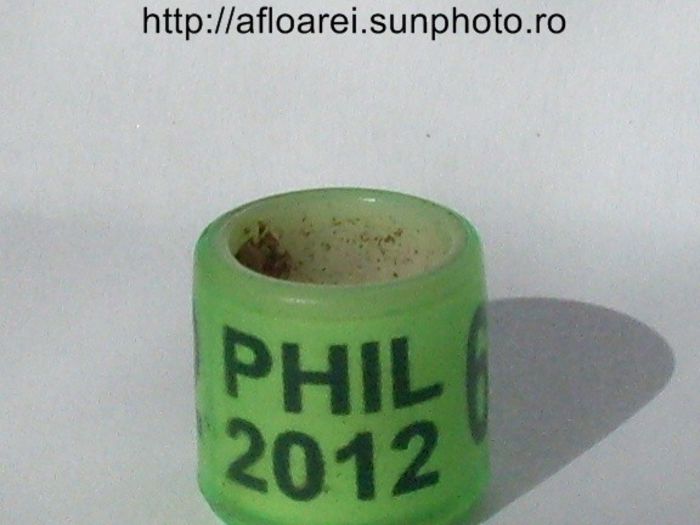 phil 2012 verde