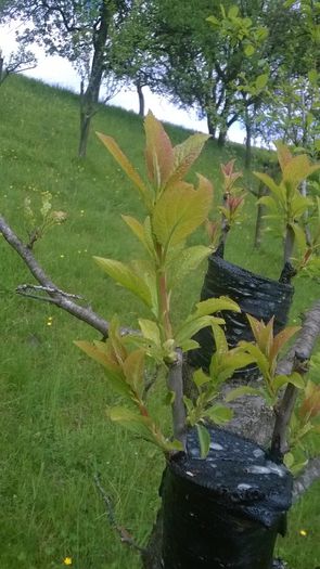 WP_20140506_032