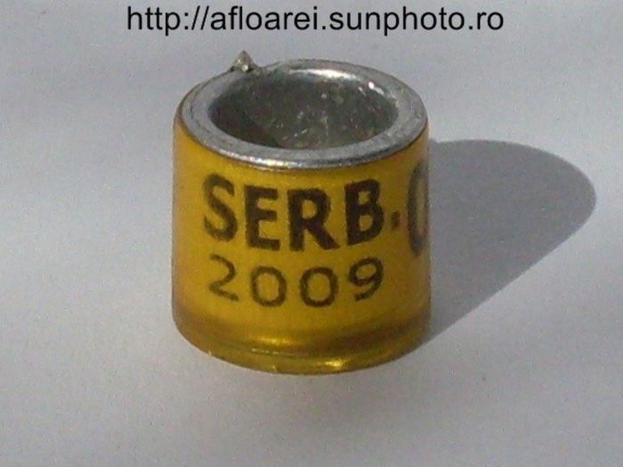 serb 2009