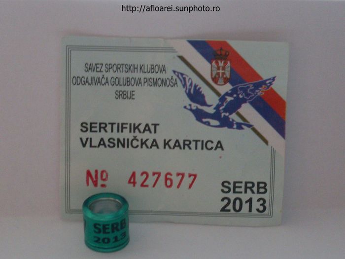 serb 2013 - SERBIA-SERB