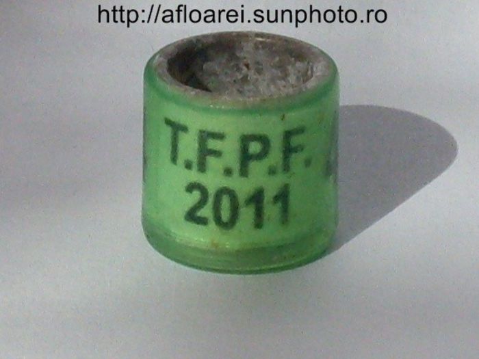 tfpf 2011