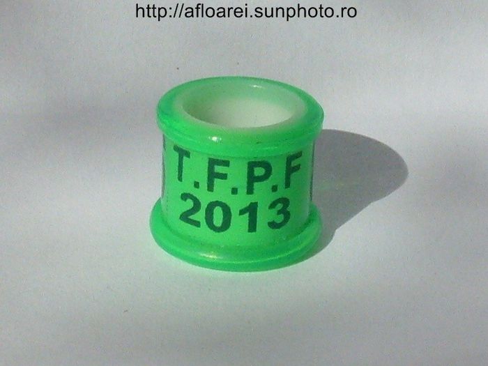 tfpf 2013 - TAIWAN