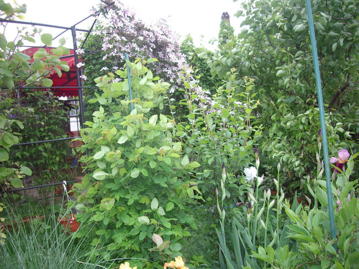 IMGP6146