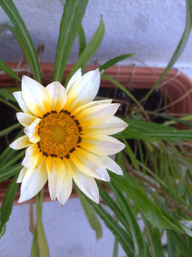 060520147802 - balcon 2014