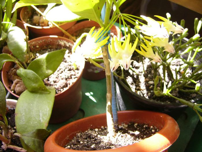 P1200615
