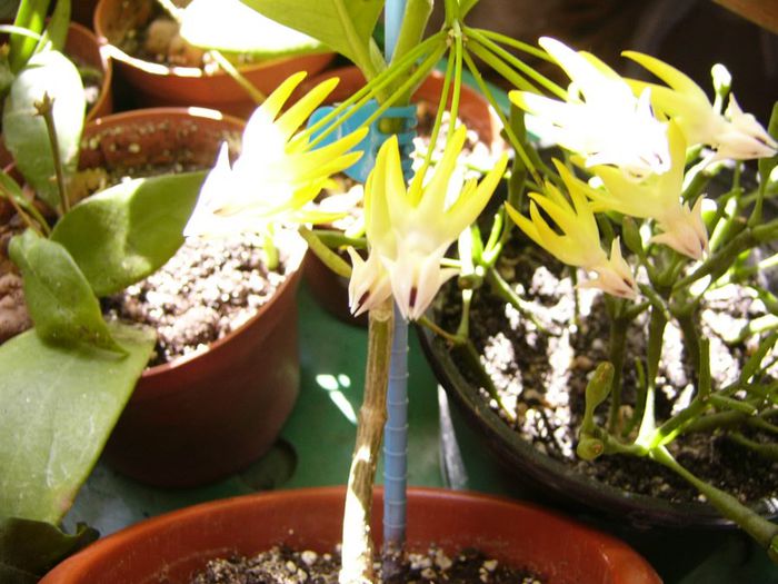 P1200616