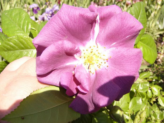 P1200633