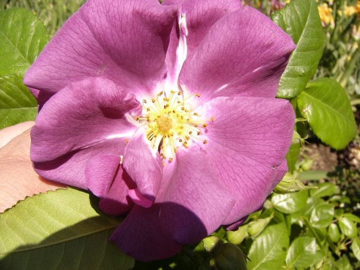 P1200634