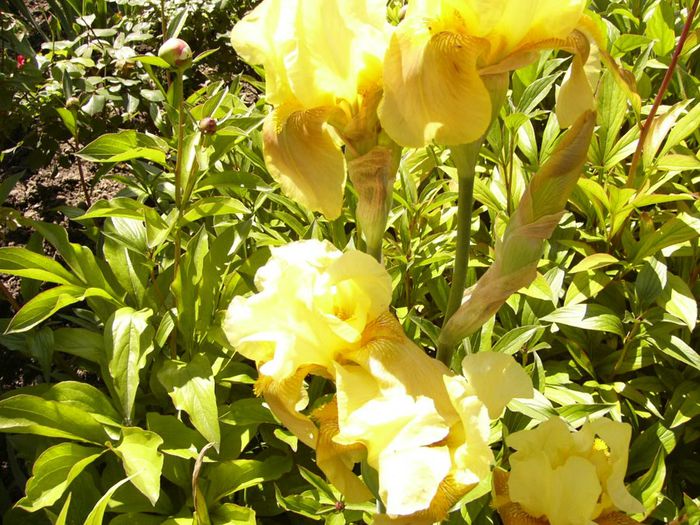 P1200642