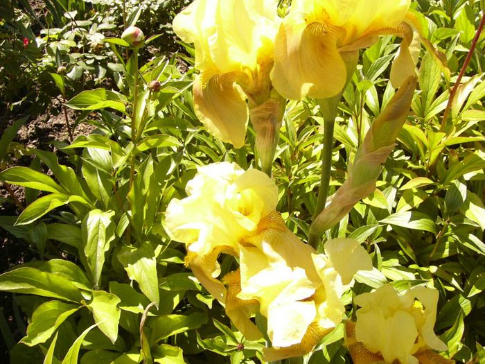 P1200643
