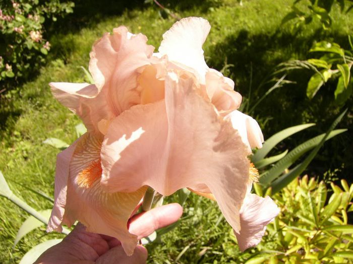 P1200646