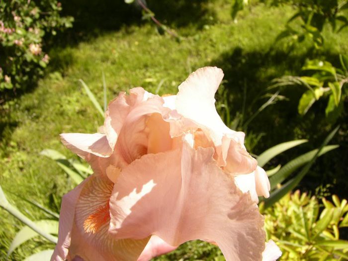 P1200647