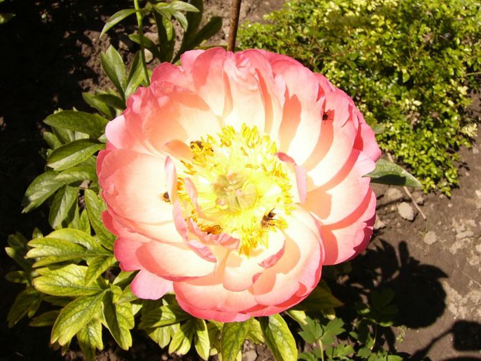 P1200656