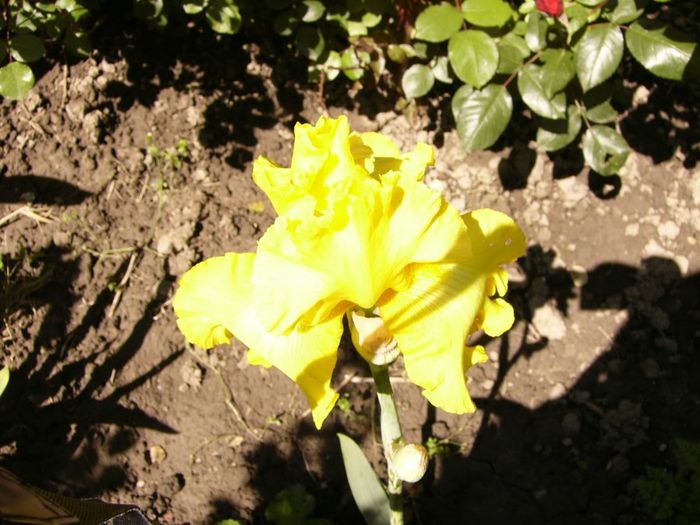 P1200674