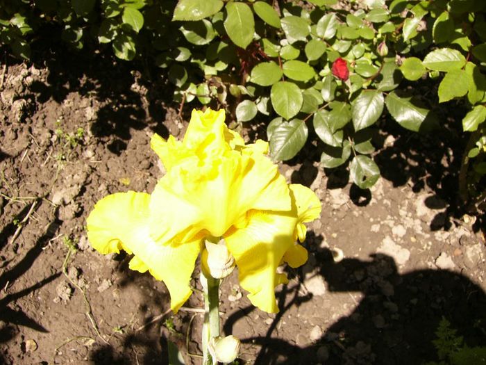 P1200675