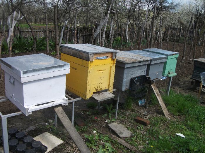 _SCF2256; 14-04-2014
