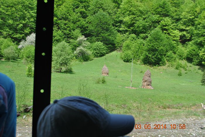 DSC_0412 - Loty 1