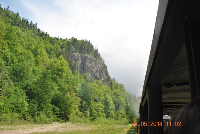 DSC_0413 - Loty 1