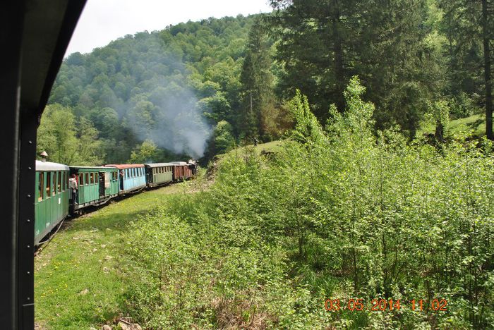 DSC_0414 - Loty 1