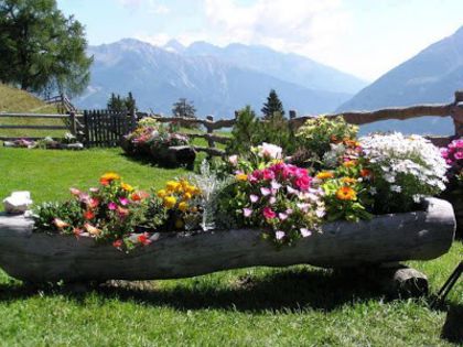 hermoso_jardin_con_flores_de_colores_en_primavera_junto_a_las_monta_as_nevadas