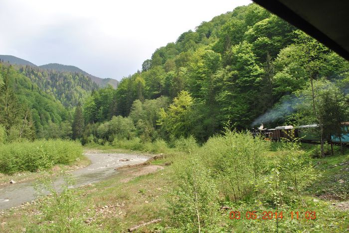 DSC_0417 - Loty 1