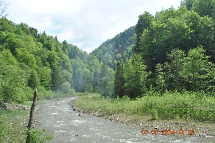 DSC_0427 - Loty 1