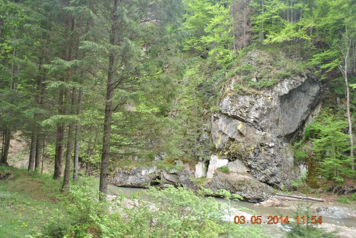 DSC_0470 - Loty 1