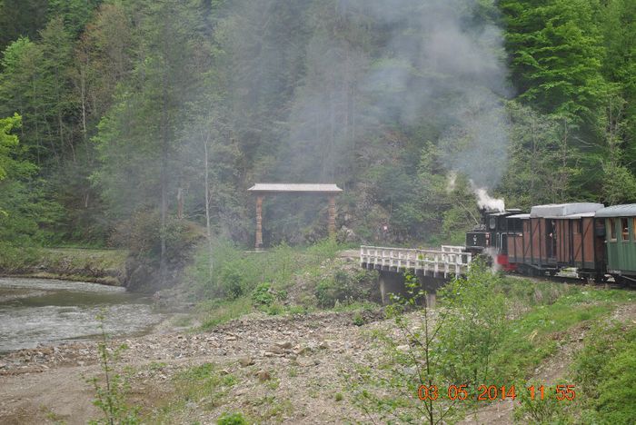 DSC_0478 - Loty 1