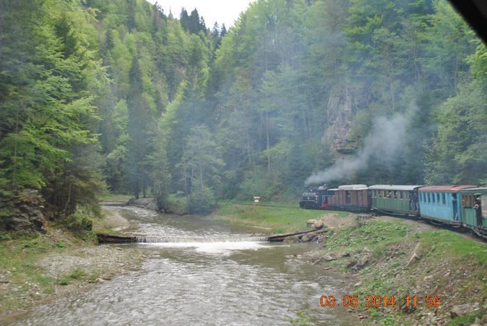 DSC_0484 - Loty 1