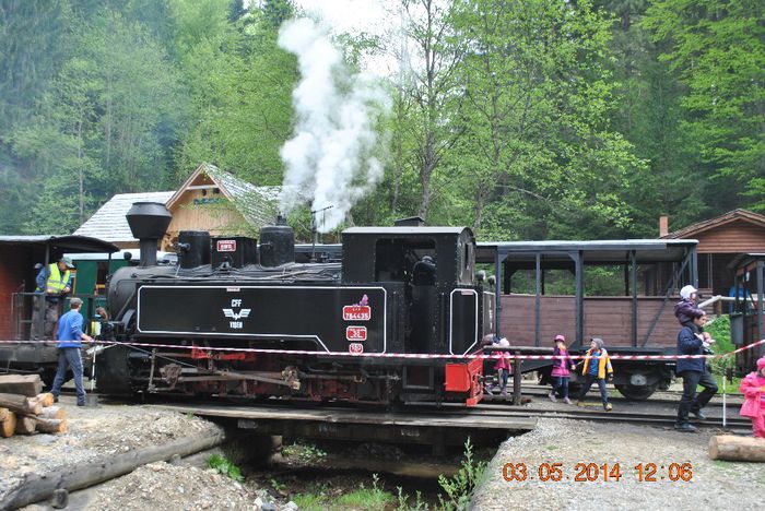 DSC_0501 - Loty 1