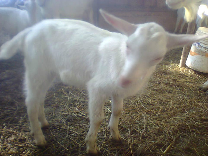 10306797_622100341198790_1833008499_n