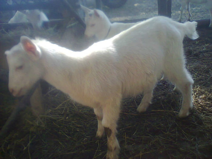 10327253_622100331198791_1683970376_n